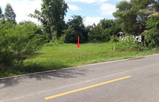 �Թᴧ �� panaya.opalopal