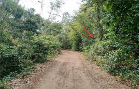 ���������� �� panaya.opalopal