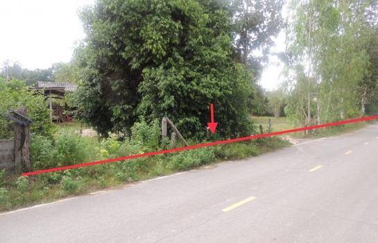 ������ �� compos2566