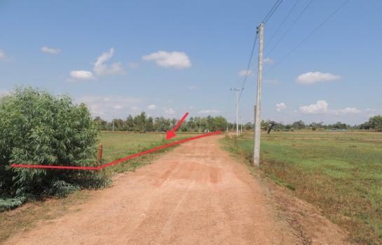 ���������� �� compos2566