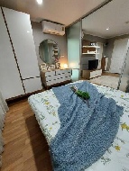 ��¤͹� �ҧࢹ ��ا෾