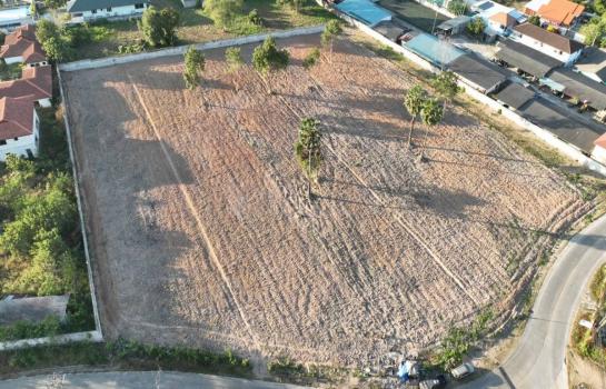 ที่ดิน pattaya ที่ดิน pattaya