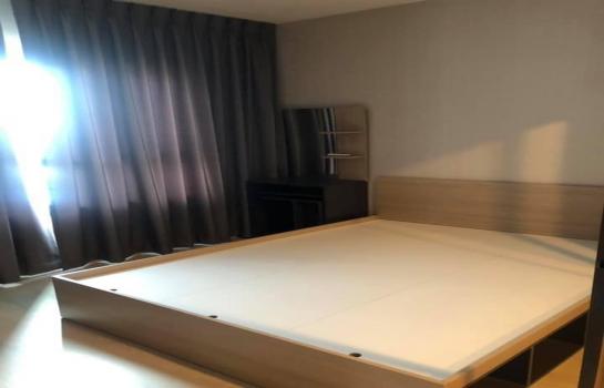 �͹����ͧ �� easythaihome