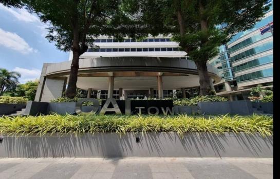 ���¢�ҧ �� 100webfed