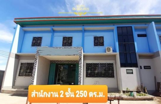 ��з���ẹ �� sureepatch