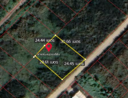 �ҧ��� �� incube