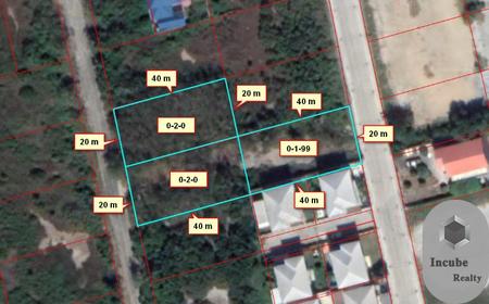 �ǹ��ǧ �� incube