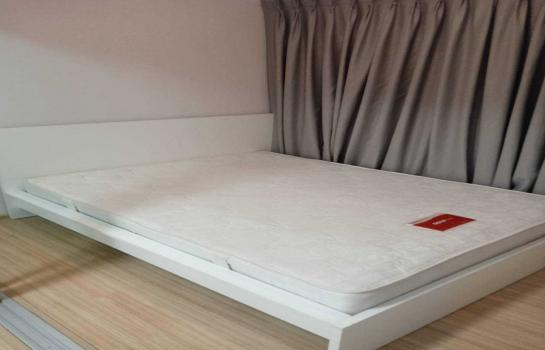 �ҧ�˭� �� M Property