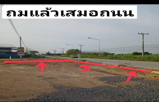 ���١�� �� TheEstate78924