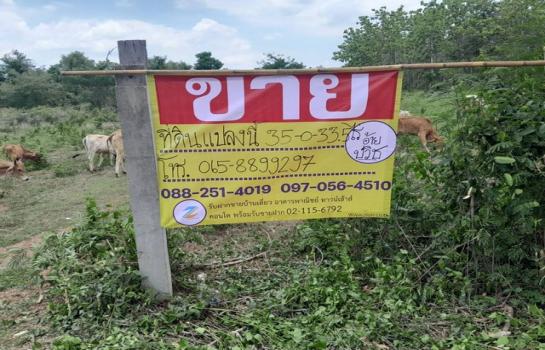 �ҡ �� zionasset1