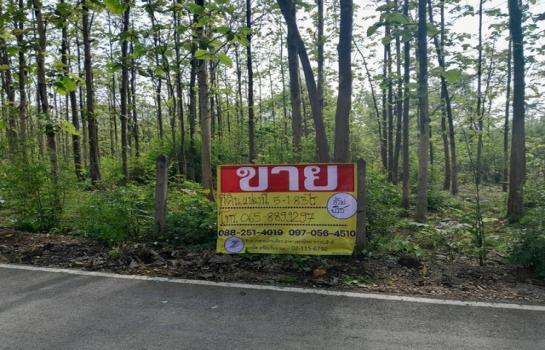 �ҡ �� zionasset1