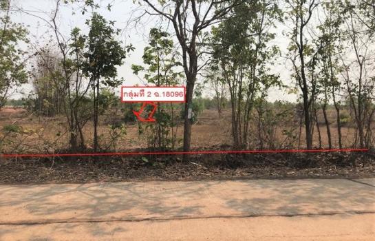 ���ʡŹ�� �� panaya.opalopal