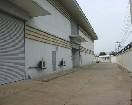 ⡴ѧ������ �ҧ��Ƿͧ�������