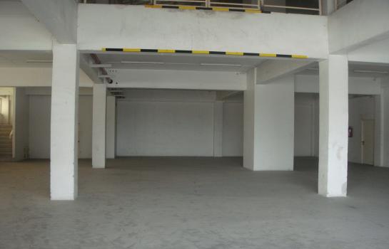 ⡴ѧ������ �ҧ��Ƿͧ�������