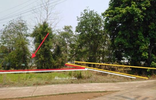 ʡŹ�� �� panaya.opalopal