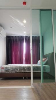 �ҧ���� �� M Property