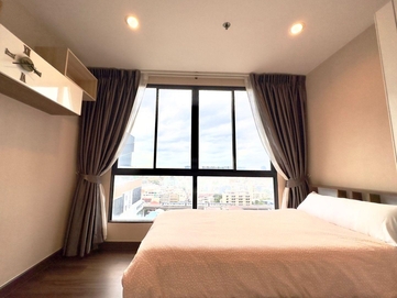 ��ا෾ �� M Property