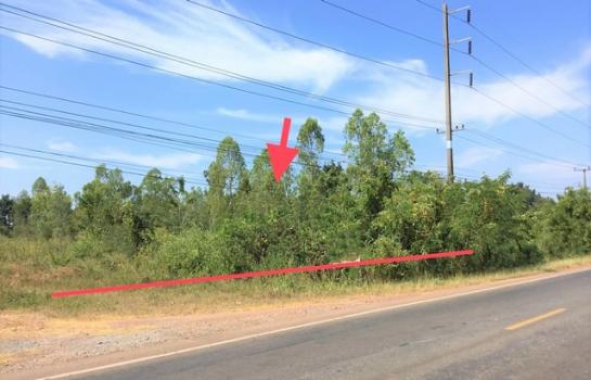 ���ʡŹ�� �� compos2566