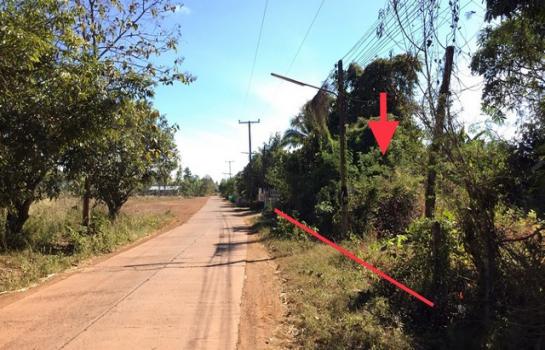 ���ʡŹ�� �� panaya.opalopal