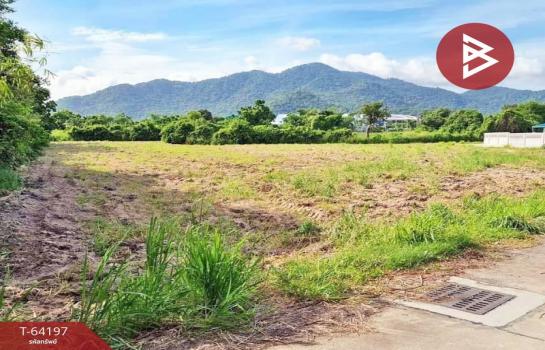 �ź��� �� The Best Property Agent