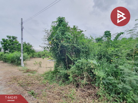 ��û�� �� The Best Property Agent