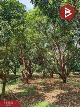 �ҭ������ �� The Best Property Agent