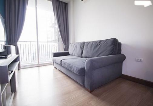 �ҧ�л� �� M Property