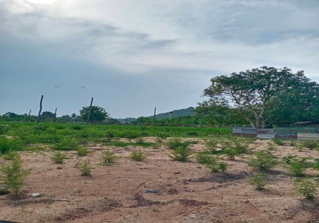 �ź��� �� A House property