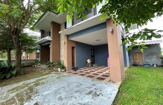 �ѹ���� �� Kim