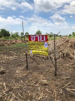 ��ͧ��ǧ �� zionasset1