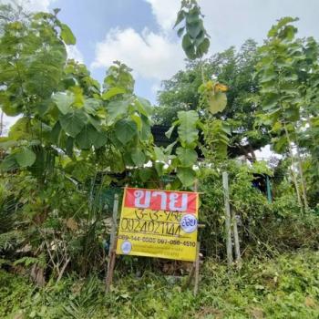 ������� �� zionasset1