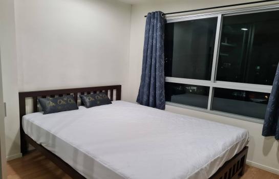 �͹�Onnut ������