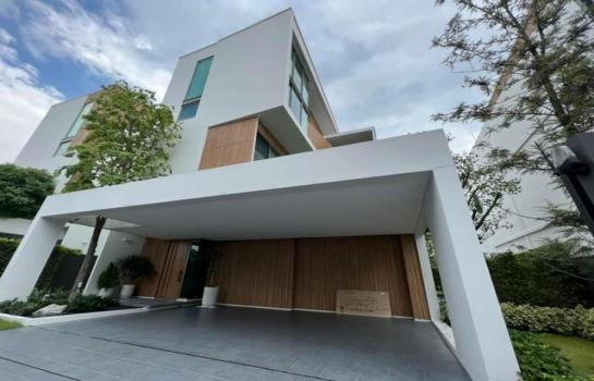 ��Ը� �蹨Թ��