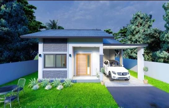 �ѹ��ᾧ �� Kim