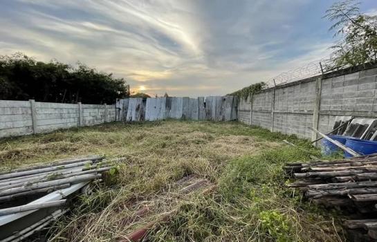 ���⢹� �� ��ͼ��