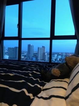 ���⢹� �� homeprop34