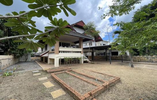 ��ҹ 4,950,000 �ҷ ��§����