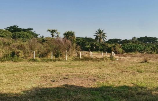 ����� �� onanong khumaphao