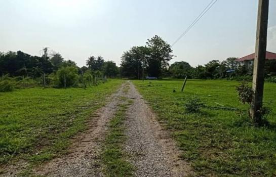 �ҧ�� �� onanong khumaphao