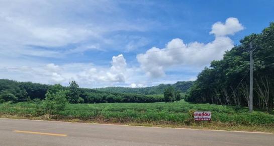 �ҭ������ �� Jyn Property