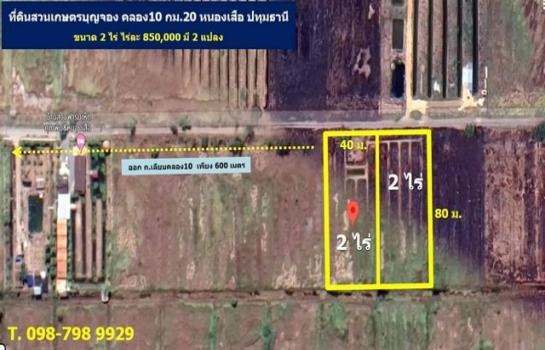 ˹ͧ� �� 100webfed