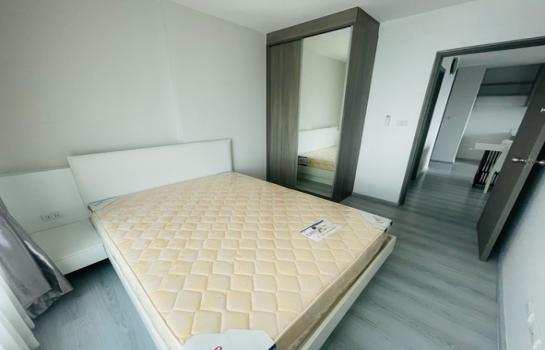 ���ͧ �� M Property