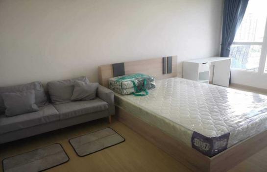 �ҧ�л� �� M Property