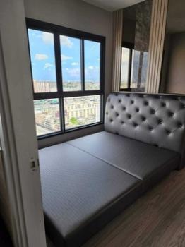 �ҧ�л� �� M Property