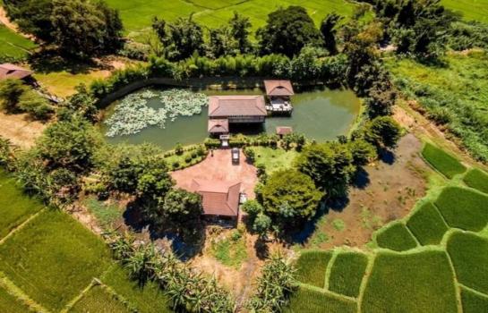 ����ԧ �� northern1