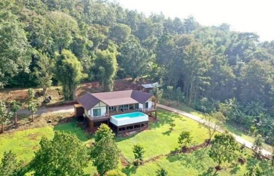 ����ԧ �� onanong khumaphao