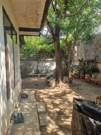 ��ҹ �ҧ��