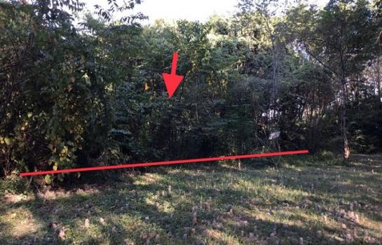 ���ʡŹ�� �� compos2566