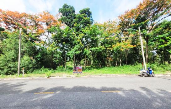 �Ҵ��кѧ �� Perfect Property1