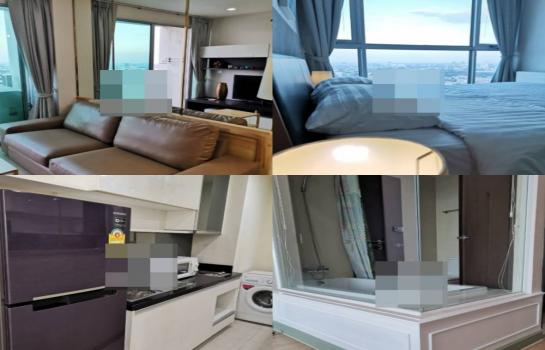 ���⢹� �� All Living